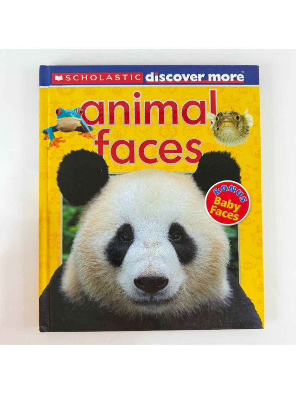 2/$6 Scholastic Discover More Animal Faces book (Hardcover)